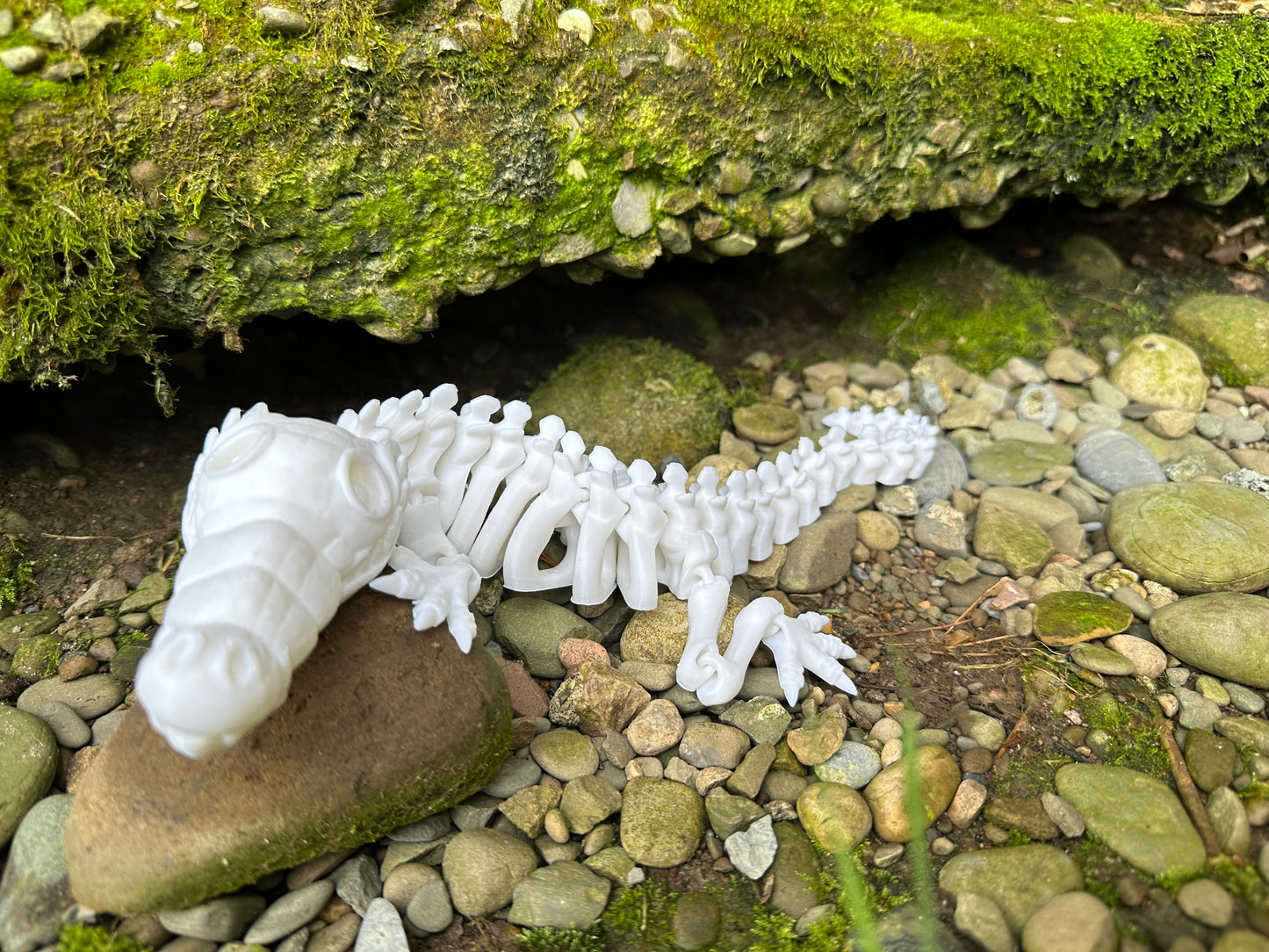 Skeleton Crocodile