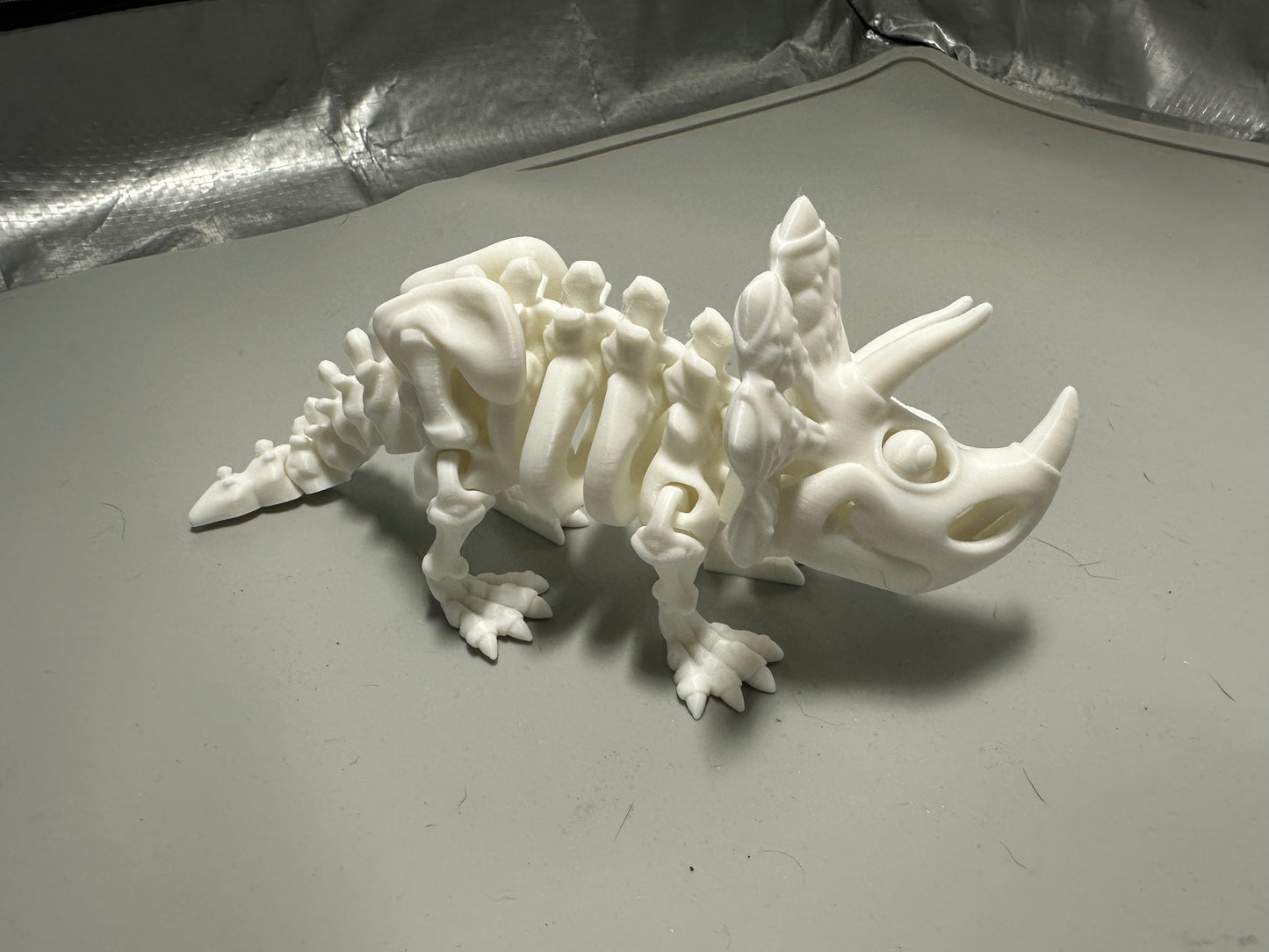 Skeleton Triceratops