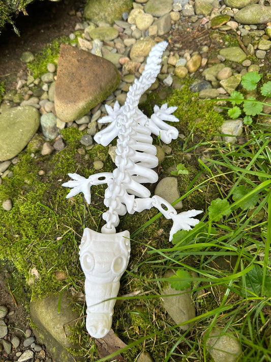 Skeleton Crocodile