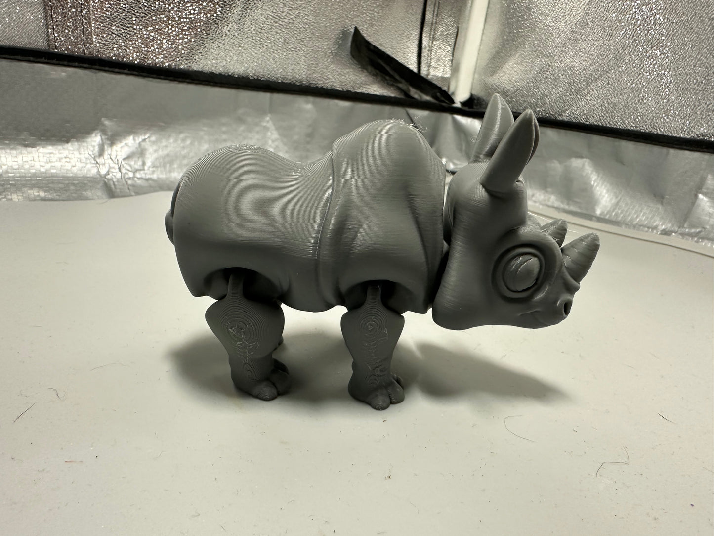 Rhinocerus