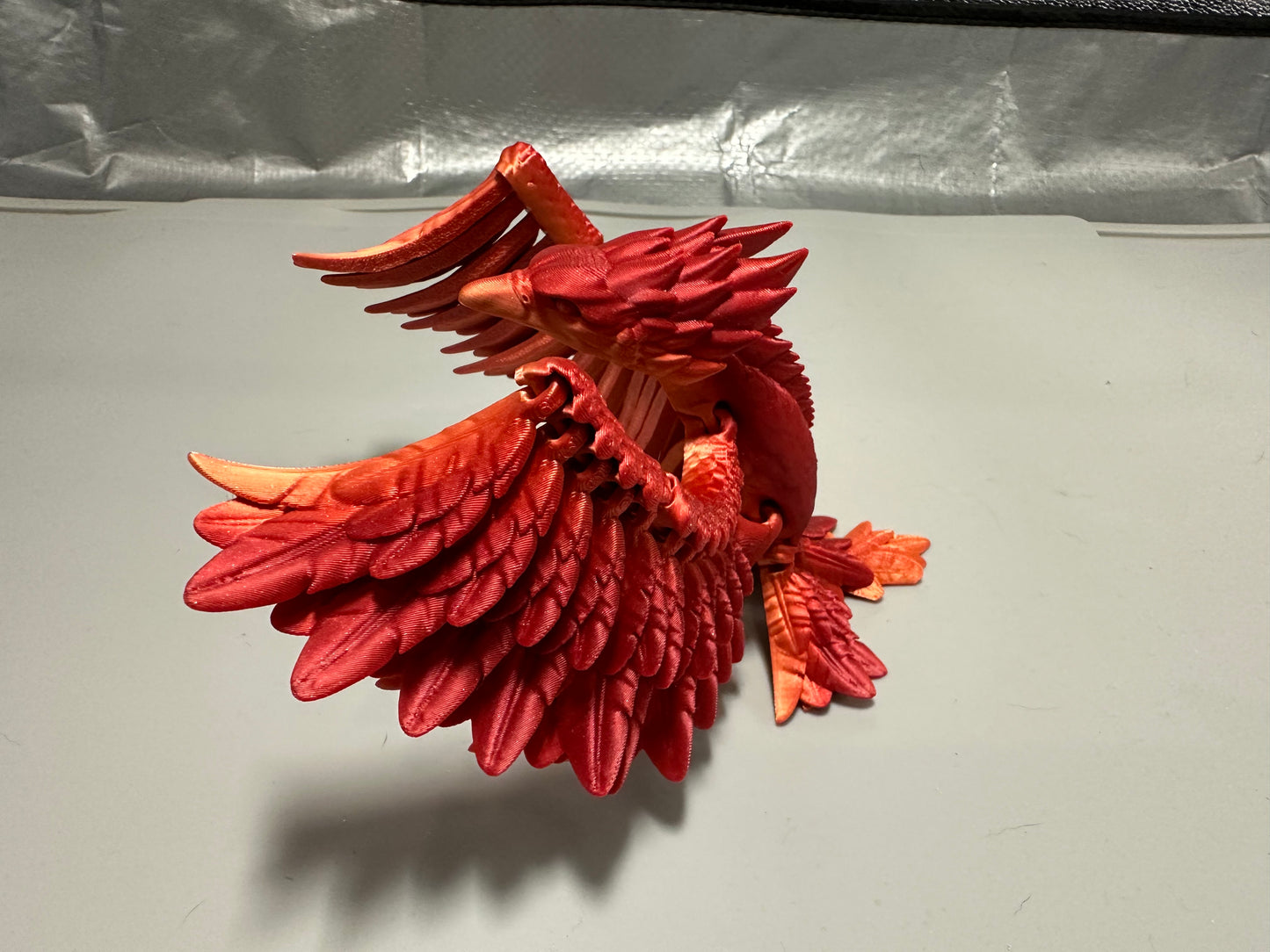 Phoenix - Multi Color