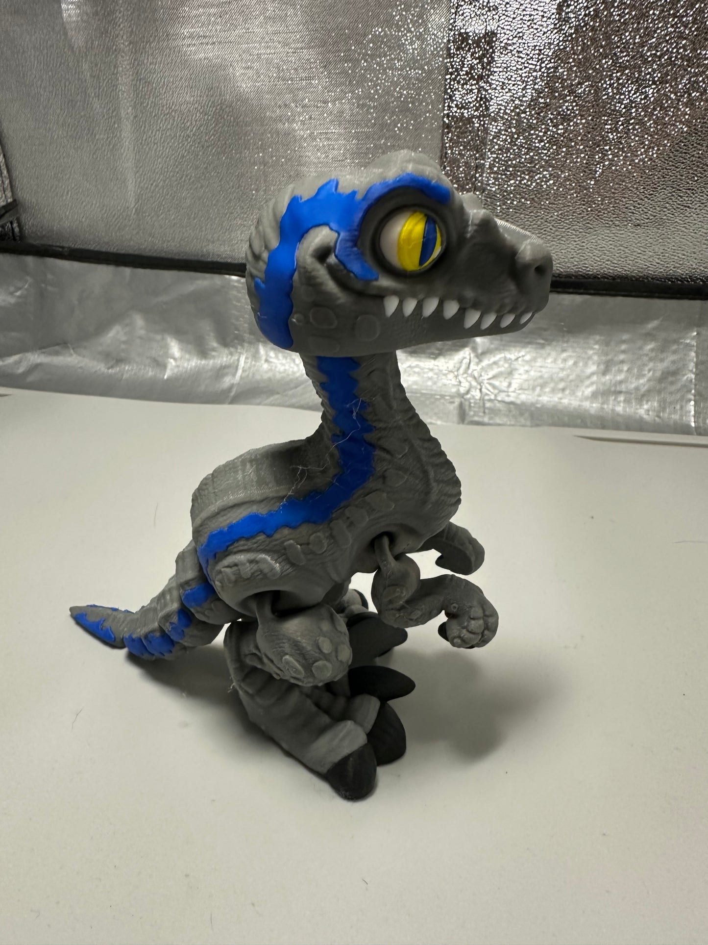 Velociraptor - Blue and Grey