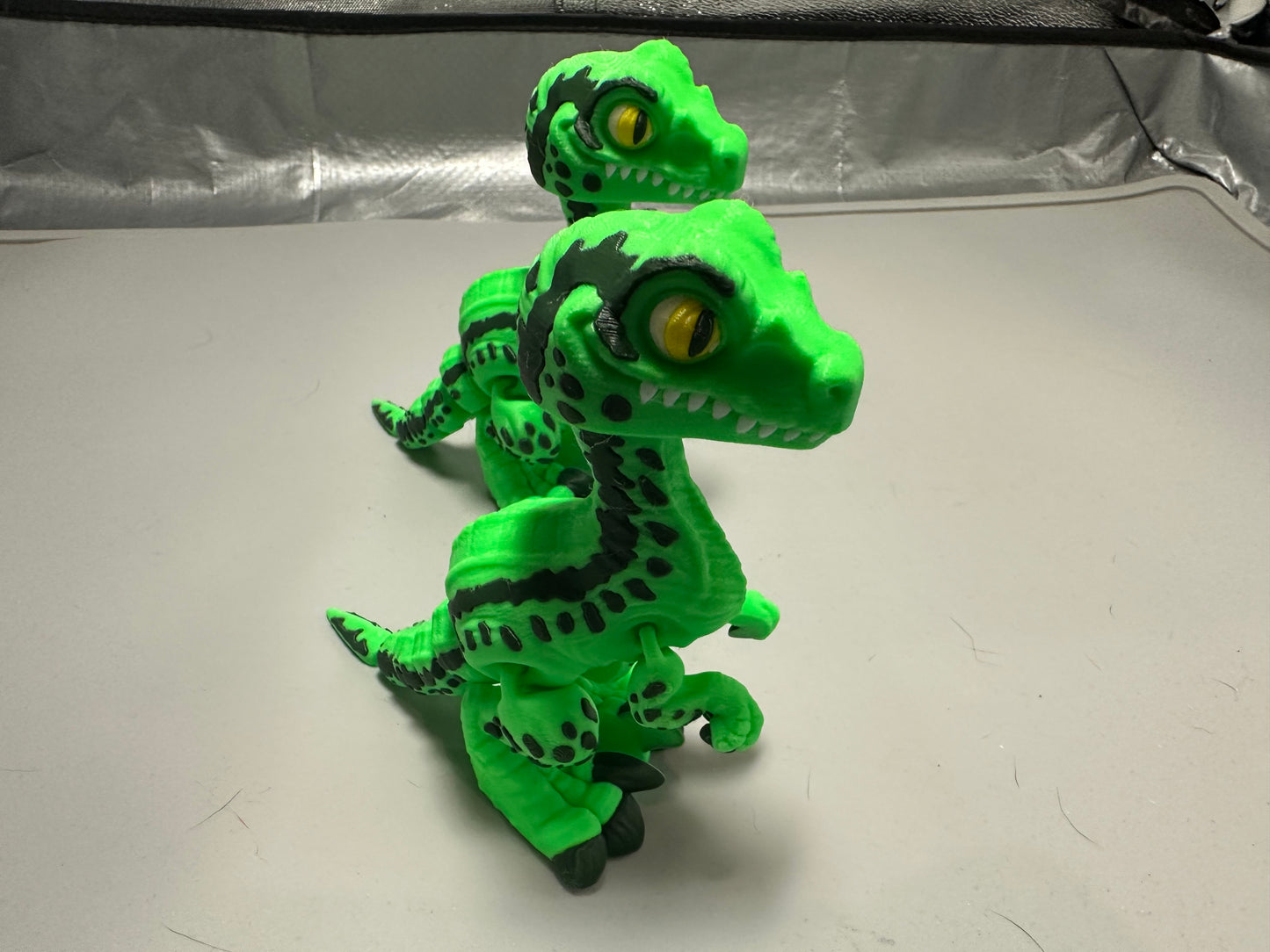 Velociraptor - Dark Green and Light Green