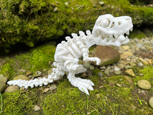 Skeleton Tyrannosaurus Rex, T-Rex