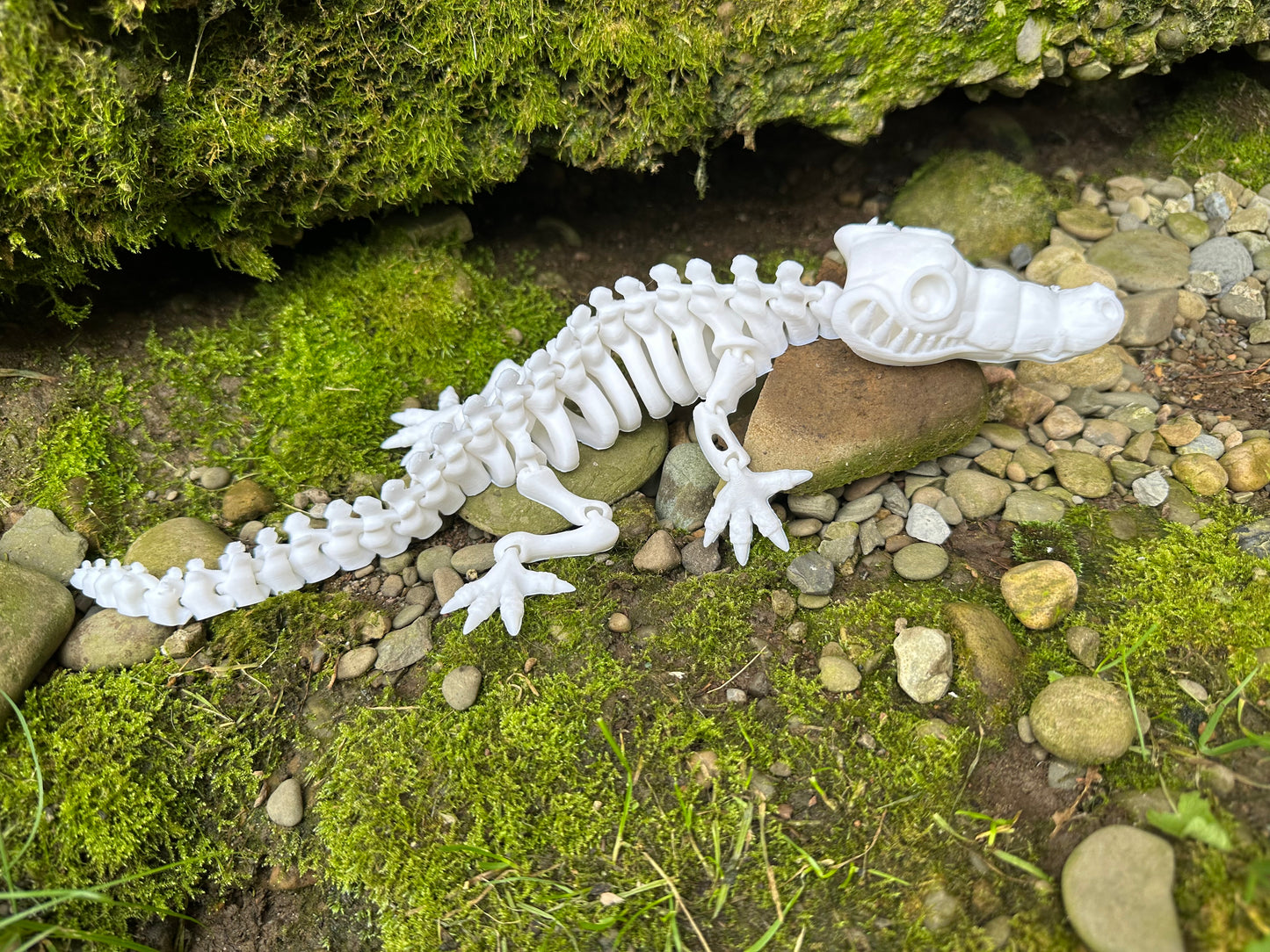 Skeleton Crocodile