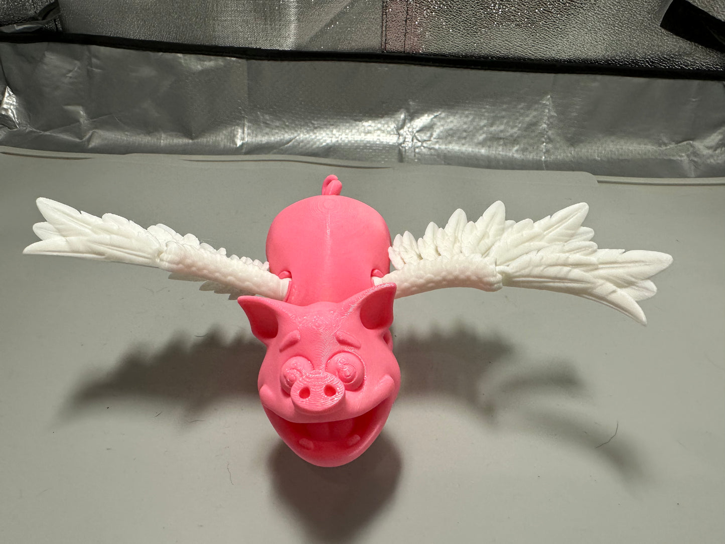 Flying Pig