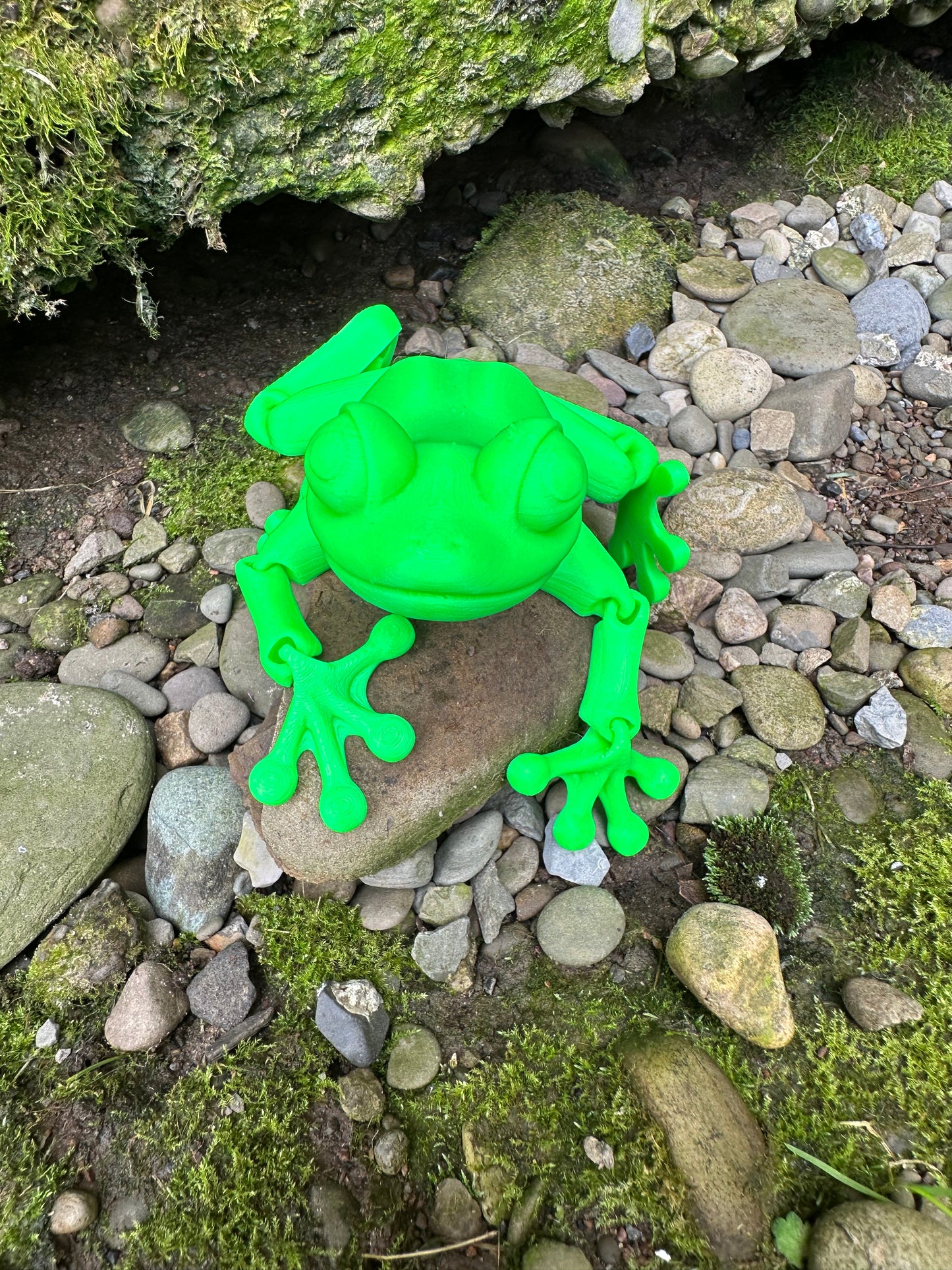 Frog