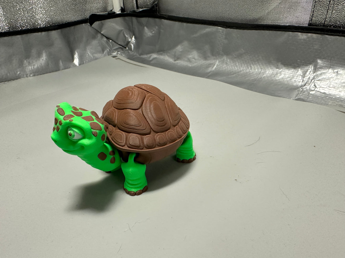 Turtle with storage compartment