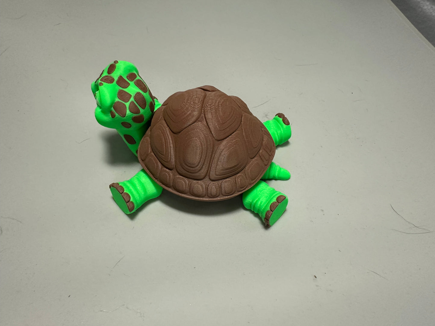 Turtle with storage compartment